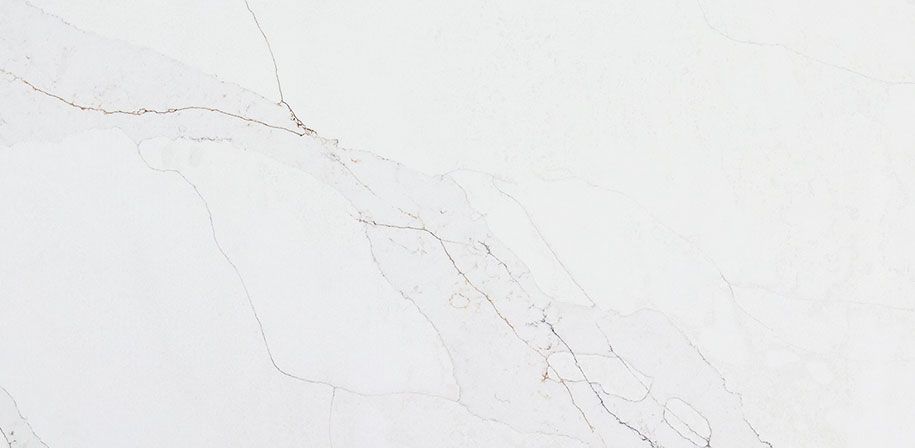 Calacatta Abezzo Quartz Close-Up Detail Sample