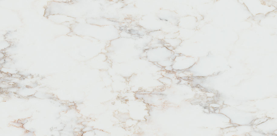 Calacatta Cinela Close up