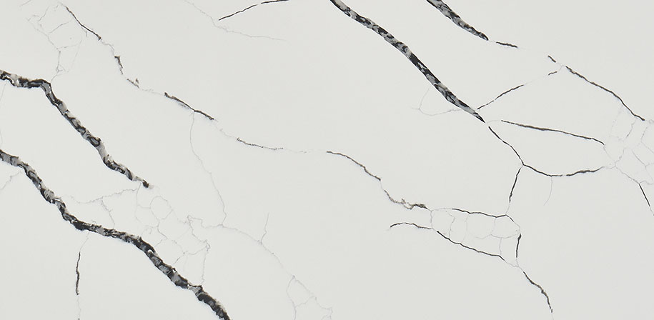 Calacatta Laza Night Quartz Sample