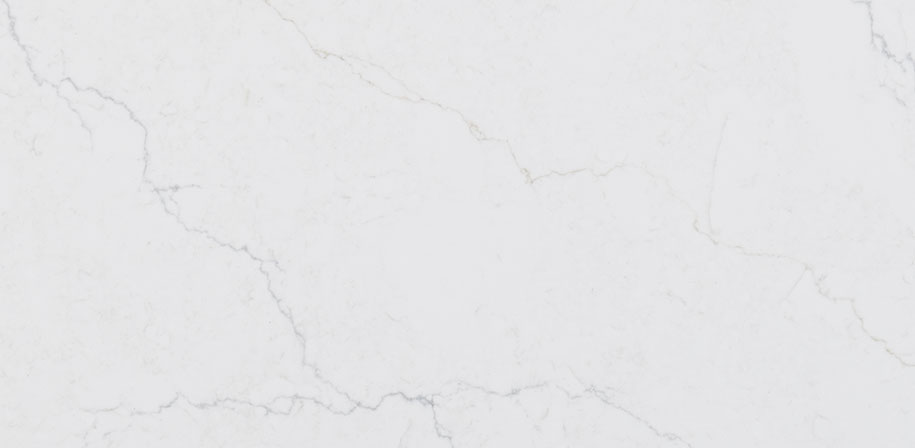 Calacatta Miraggio Duo Honed Sample