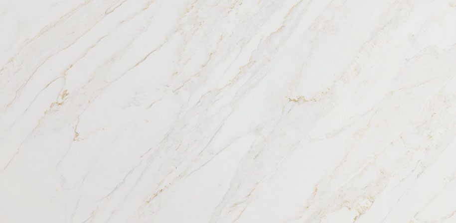 Calacatta Premata Sample