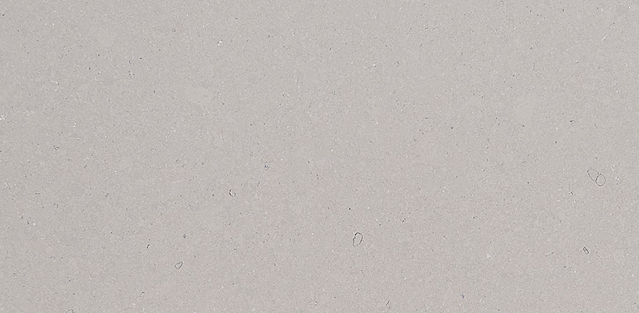 Fossil Gray Matte Quartz Sample