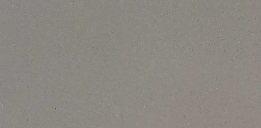 Fossil Gray Quartz Sample