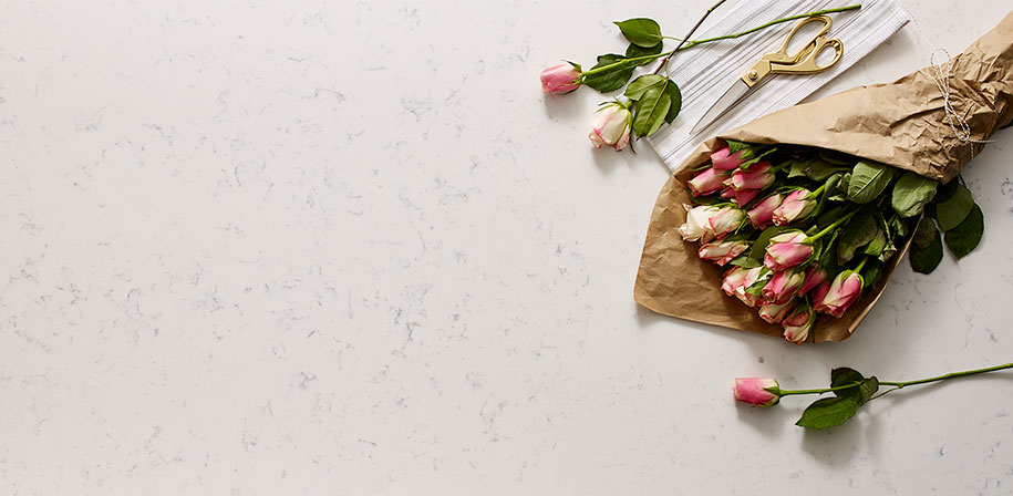 Cashmere Carrara Quartz Vignette