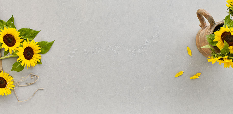 Vena Carbona Quartz Countertop Vignette