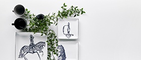 Premium Plus White ™ thumbnail 6