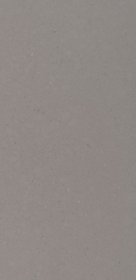 Fossil Gray Quartz Countertop closeup