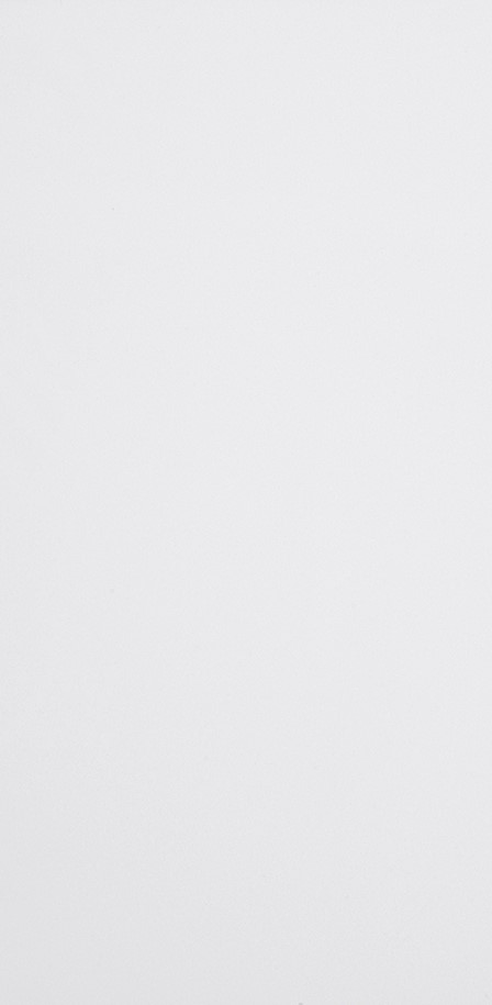 Premium Plus White Quartz Countertop Slab