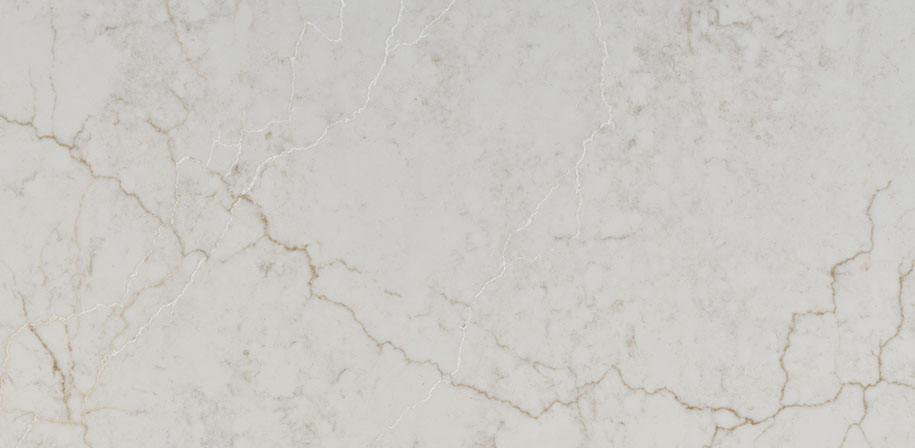 Calacatta Miraggio Cove Quartz Countertop Close-up