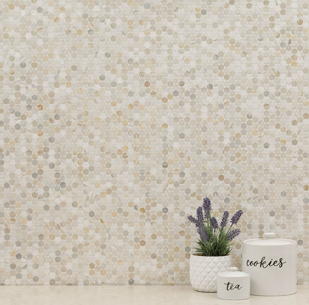 Athena Gold Pennyround Tile wall in kitchen