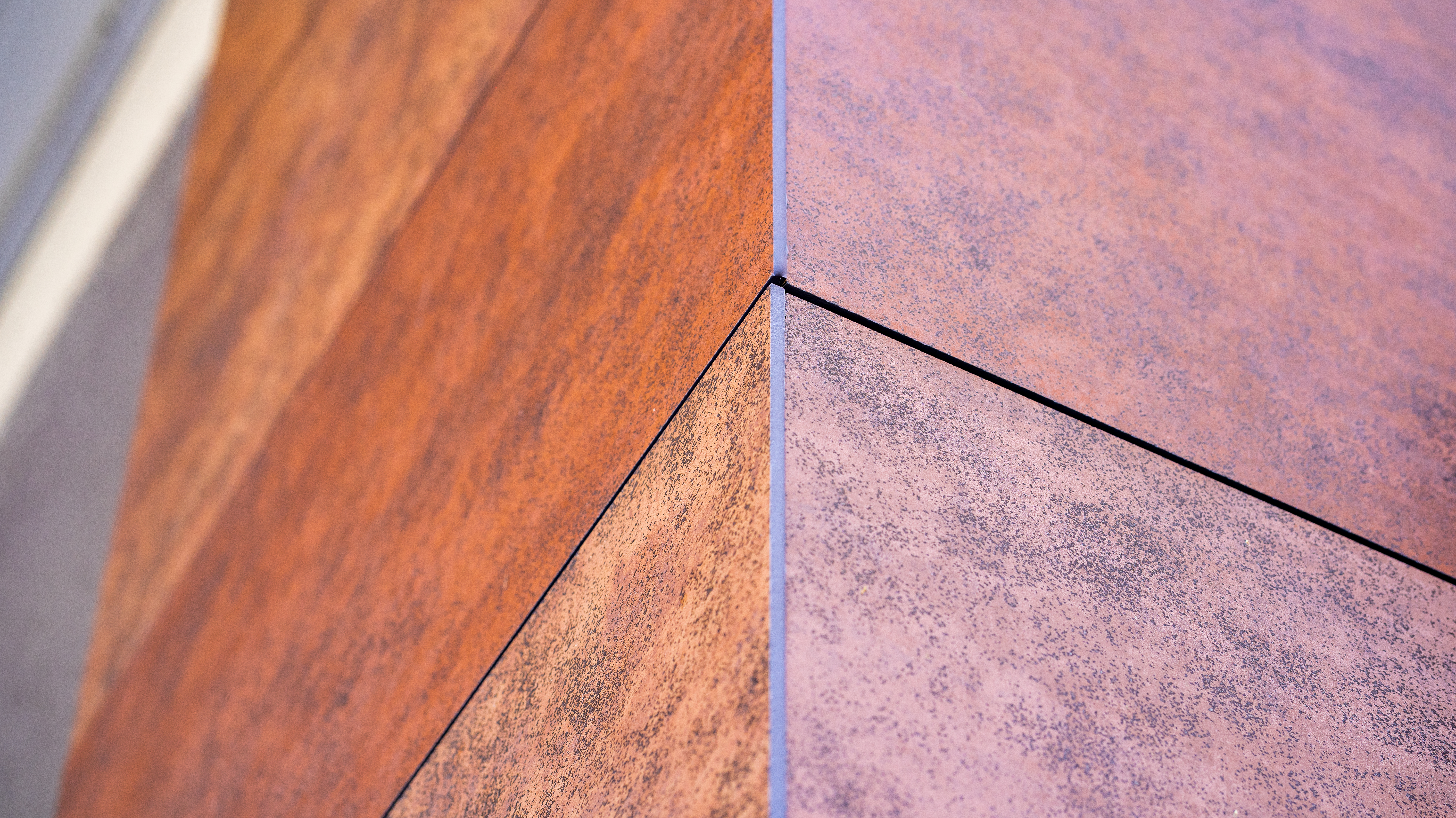 Central Tampa, FL, ID: P-NEOLIG6MMQ