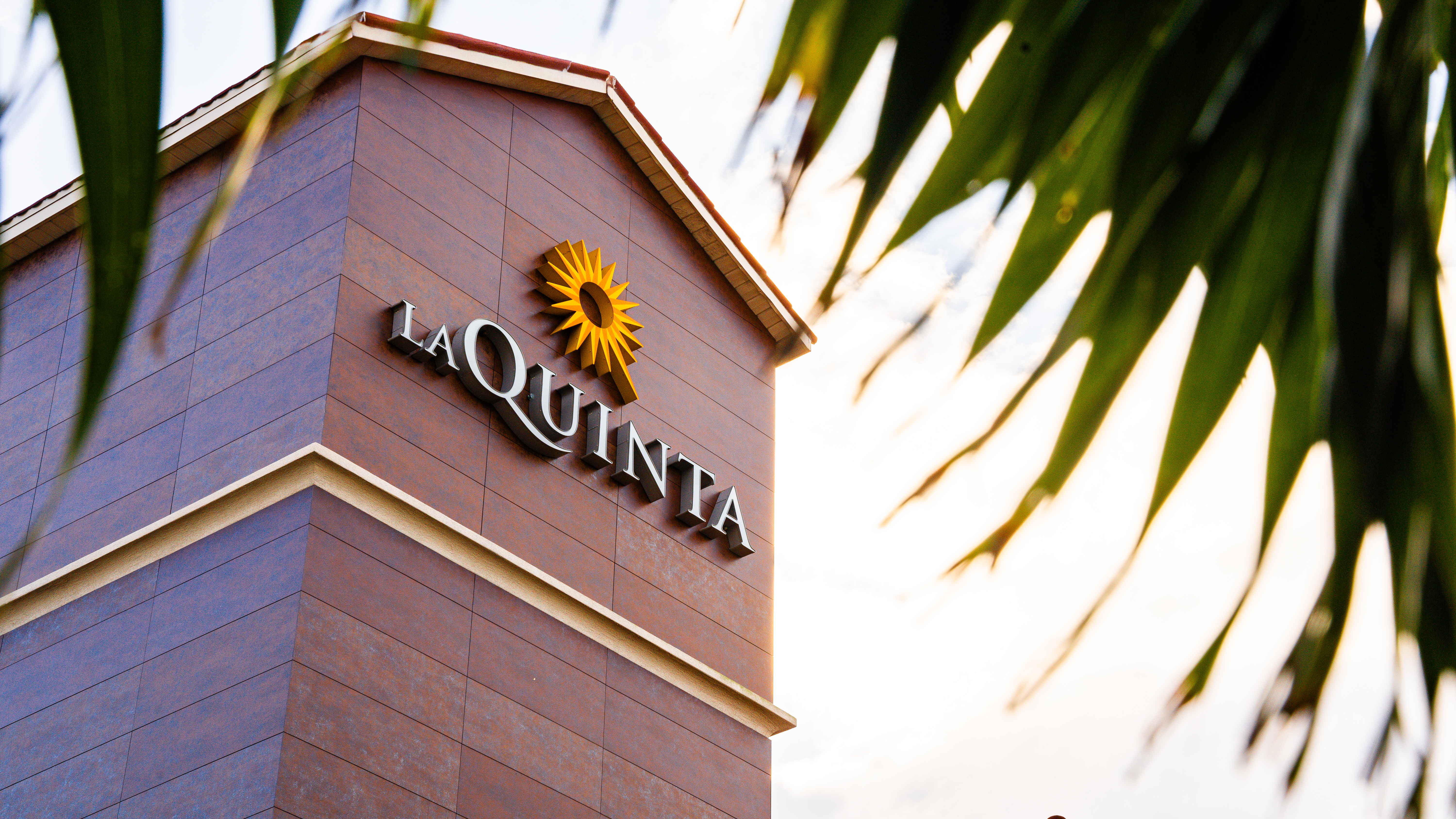 Central Tampa, FL, ID: P-NEOLIG6MMQ