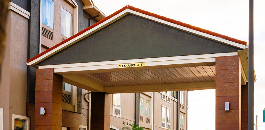 Central Tampa, FL, ID: P-NEOLIG6MMQ