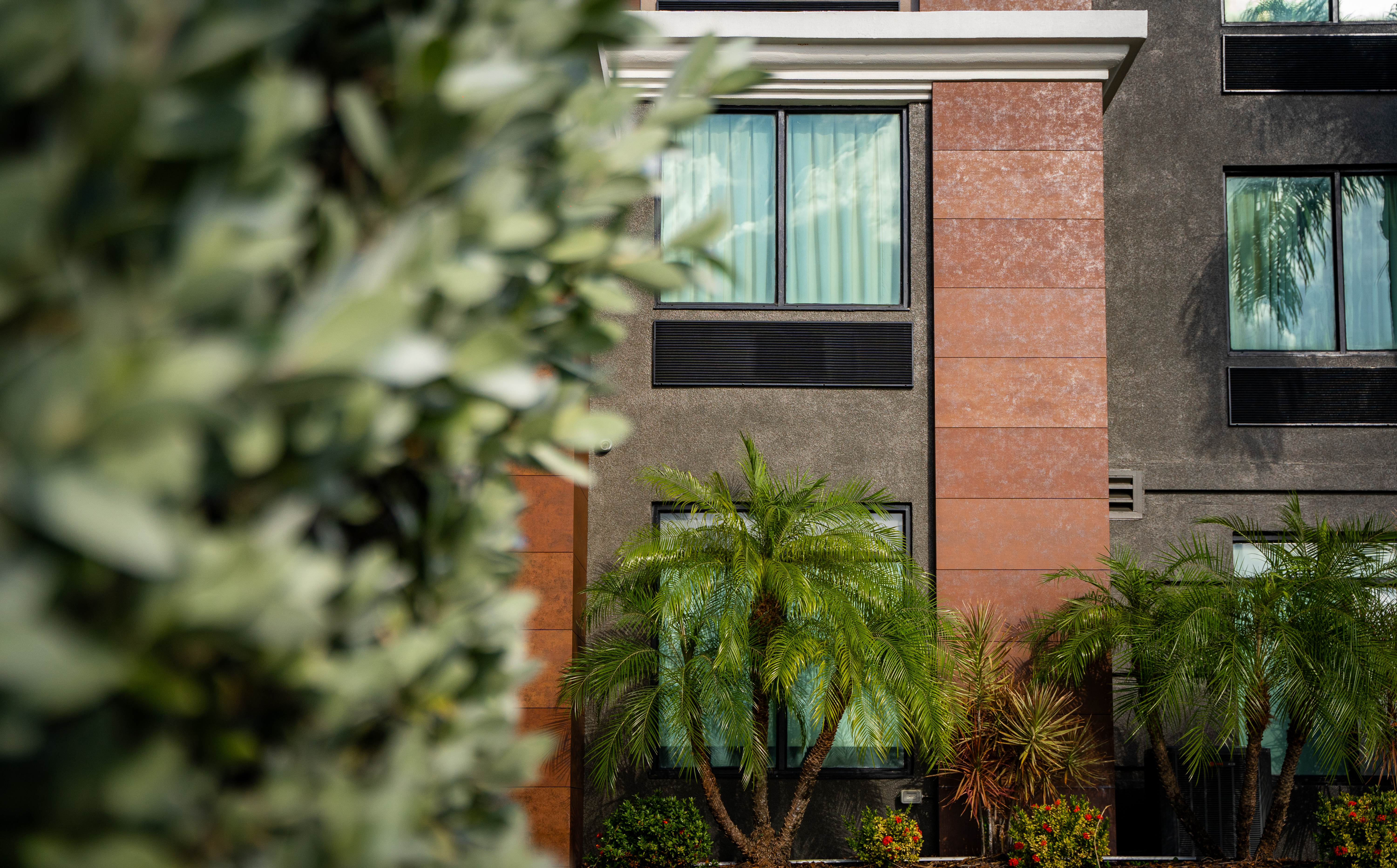 Clearwater, FL, ID: P-NEOLIG6MMQ