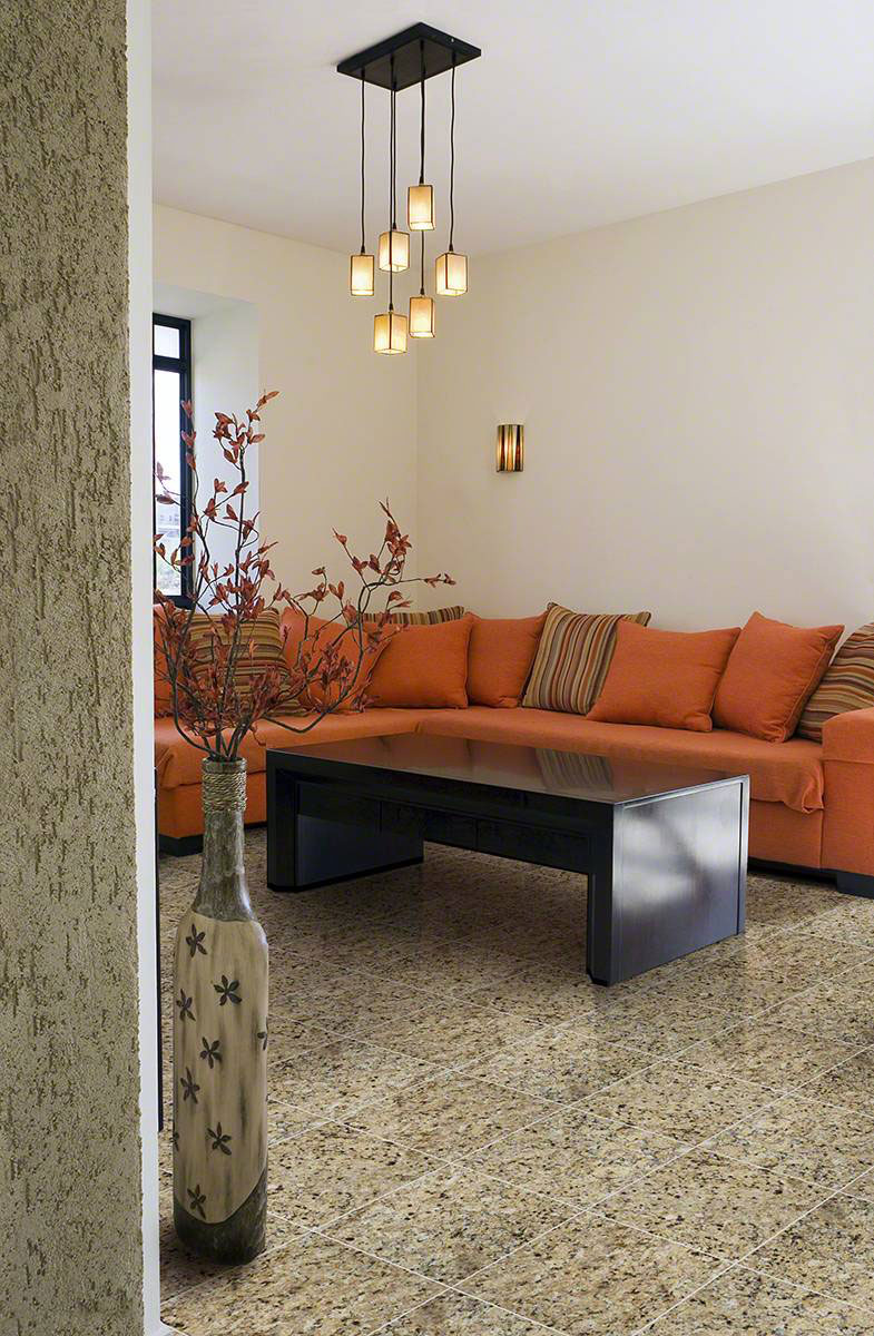 New Venetian Gold Granite Countertop in Living Room