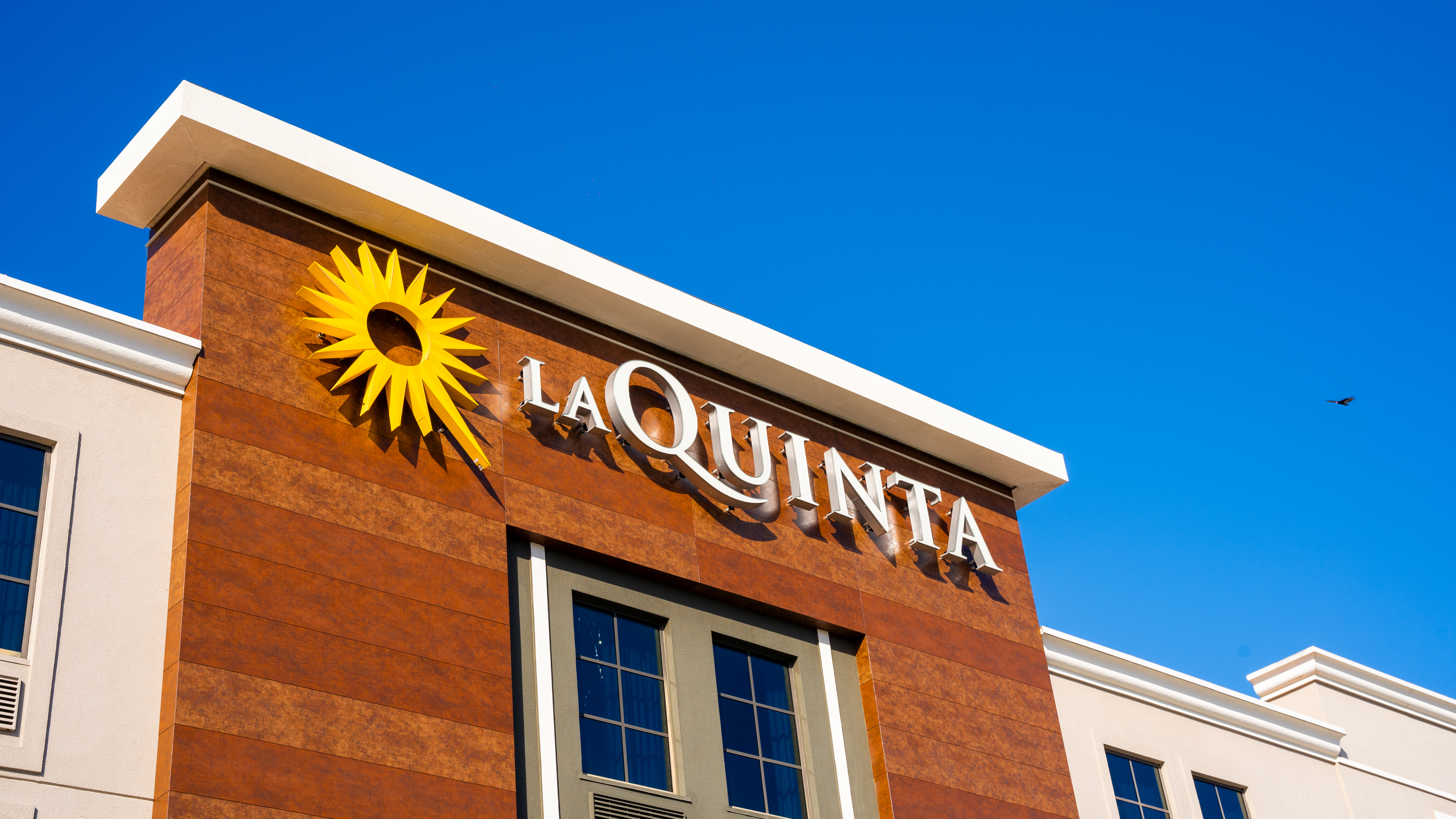 St. Petersburg, FL, ID: P-NEOLIG6MMQ