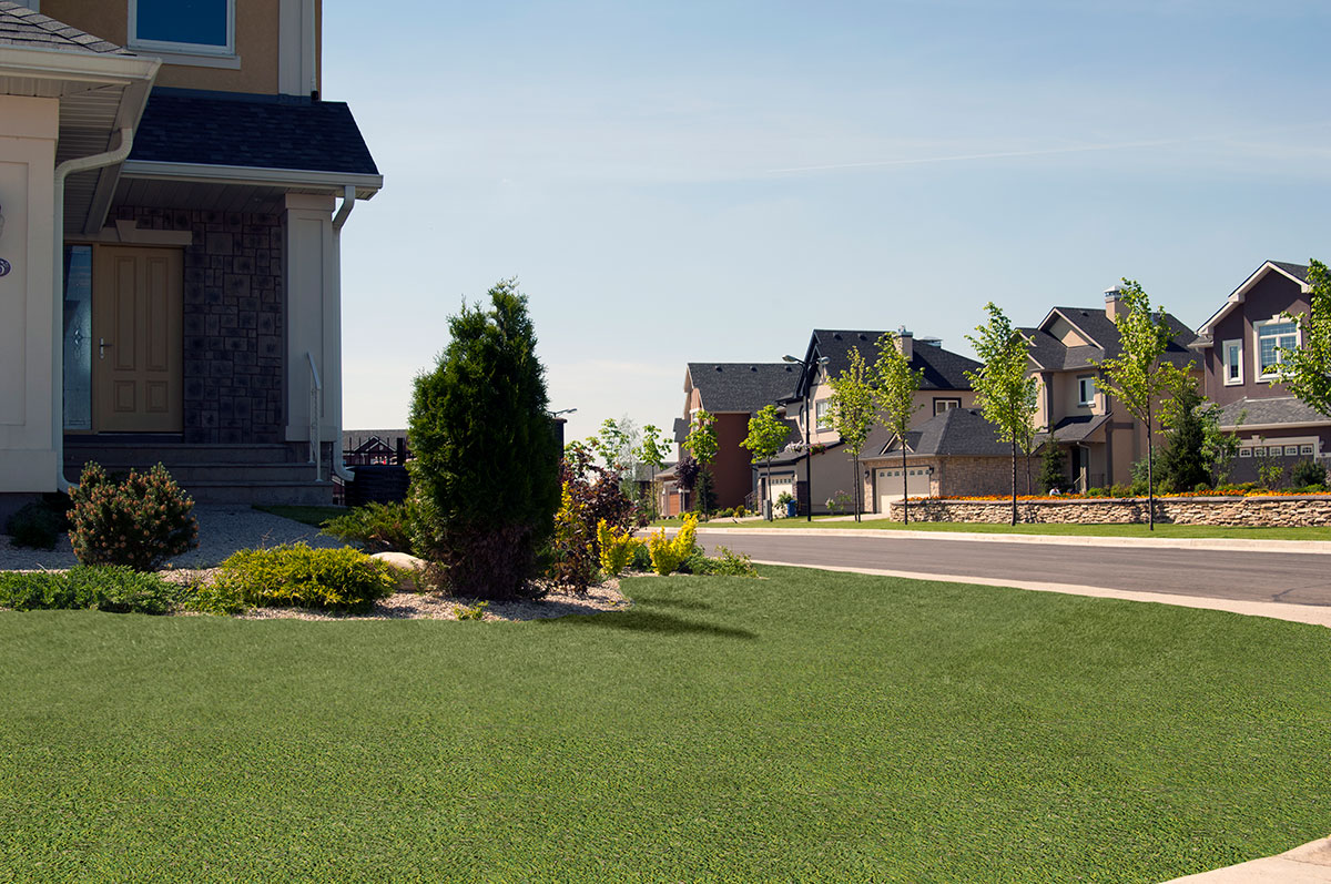 Evergrass™ Viridian Turf 91 lawn in front yard of home