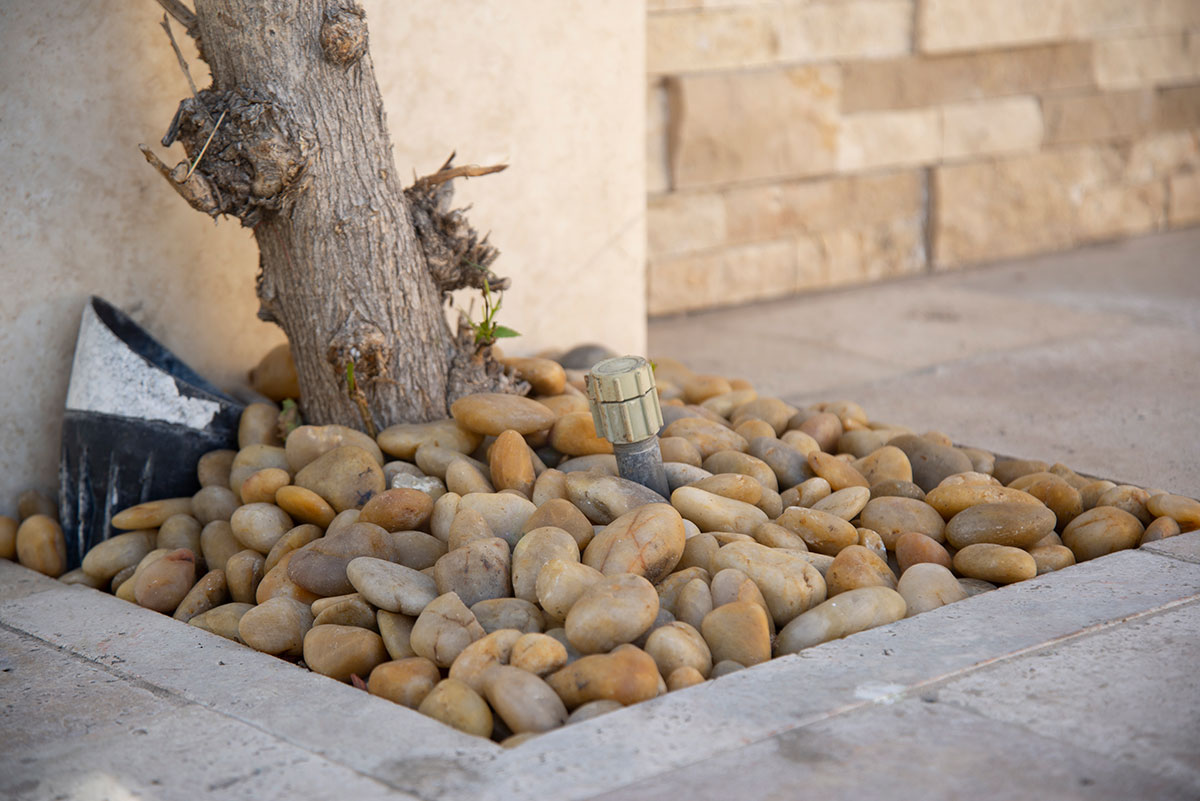 Yellow Polished Rock Pebbles For Landscaping Room Scene