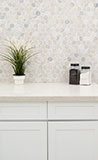Angora Polished 2" Hexagon Mosaic Tile backsplash in kitchen