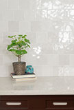 Renzo Dove 5x5 Ceramic Wall Tile in bathroom wall