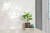 Renzo Dove 5x5 Ceramic Wall Tile in bathroom wall