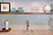 quartzite-countertops-taj-mahal-jen_foresman_5
