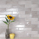 Renzo Sterling 3x12 Tile wall in bathroom