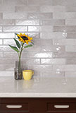 Renzo Sterling 3x12 Tile wall in bathroom