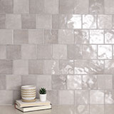 Renzo Sterling Tile 5x5 wall in bathroom