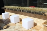 Tuscany Ivory Subway Tile 2x4 wall in outdoor living space