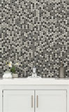 Urban Tapestry Penny Round tile wall in kitchen