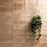 Village Coral NWGVILCOR4X12 tiles on a wall scene