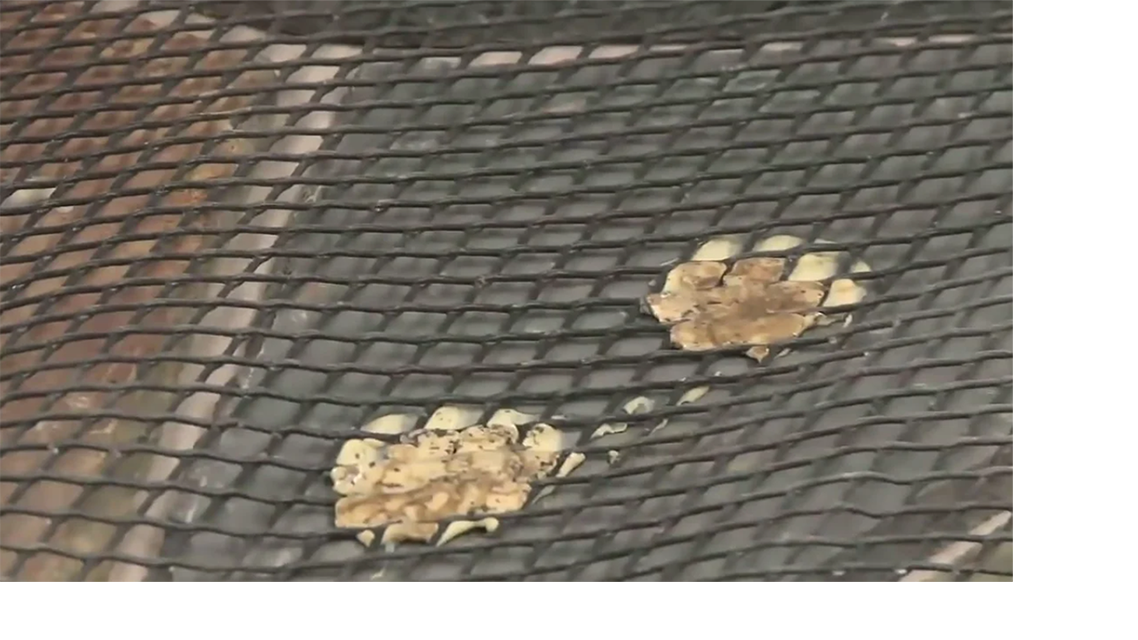 Flagstones From MSI Hardscape Stepping Stones