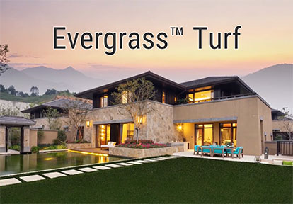 Evergrass™ Turf Collection